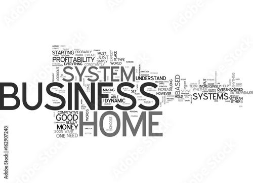 WHAT HOME BUSINESS SYSTEMS CAN DO FOR YOU TEXT WORD CLOUD CONCEPT
