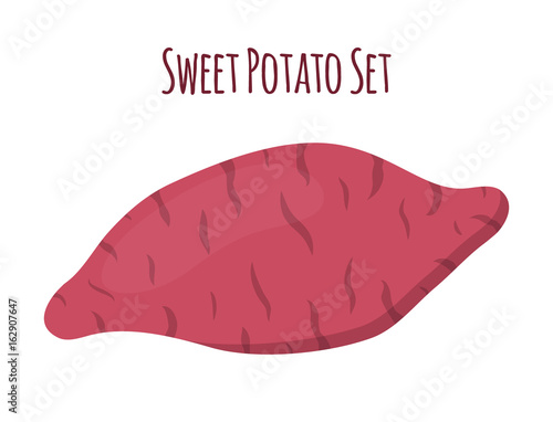Brown batat, sweet potato. Organic healthy vegetable