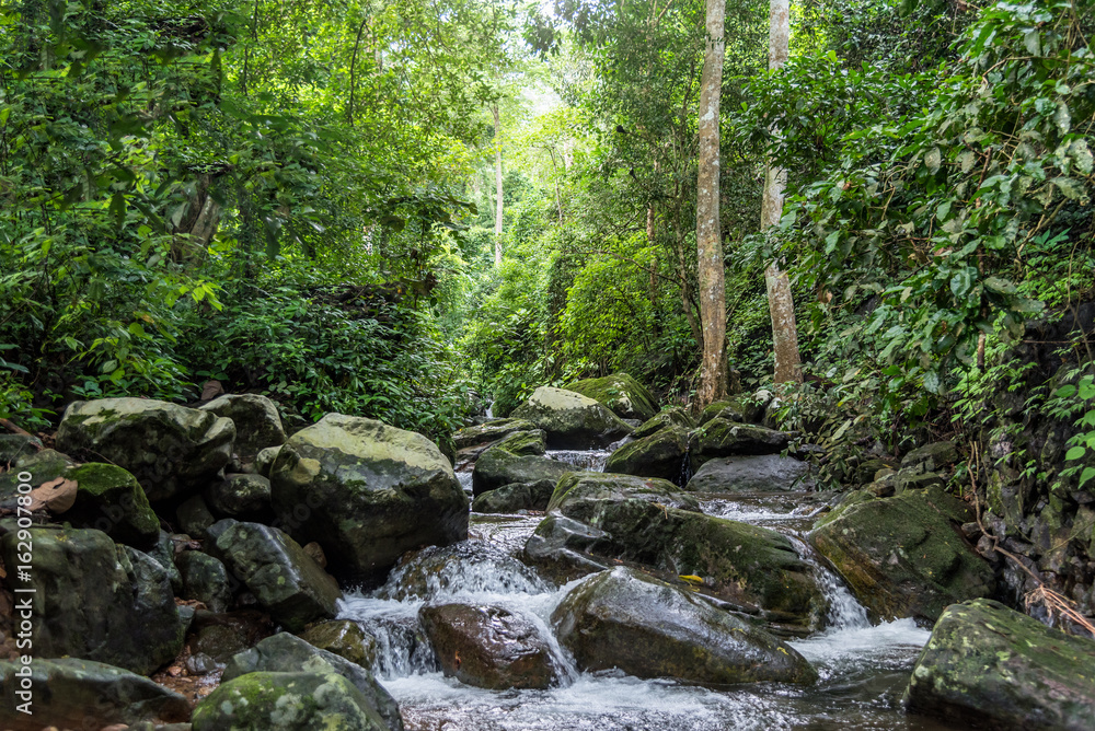 Fototapeta premium Krok-E-Dok waterfall and rain forest on mountain in Khao Yai National park, Thailand.
