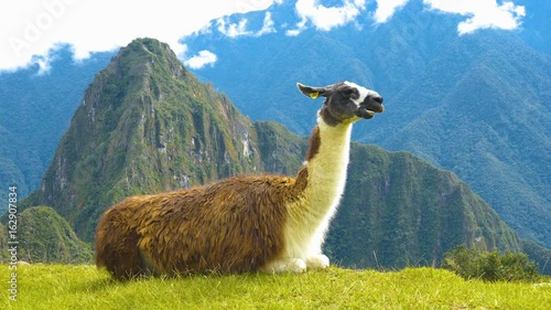 Machu Picchu Peru
