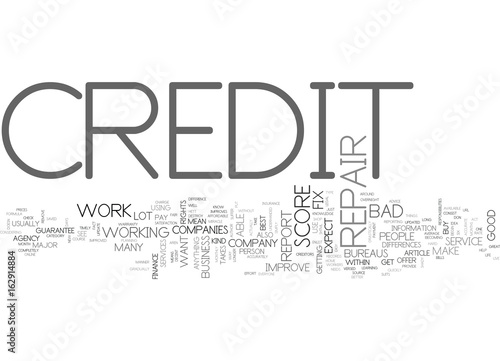 WHAT TO EXPECT FROM A CREDIT REPAIR COMPANY TEXT WORD CLOUD CONCEPT