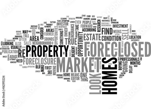 WHAT TO LOOK FOR IN A FORECLOSED HOME TEXT WORD CLOUD CONCEPT