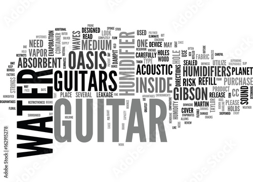 WHAT TO LOOK FOR IN A GUITAR HUMIDIFIER TEXT WORD CLOUD CONCEPT