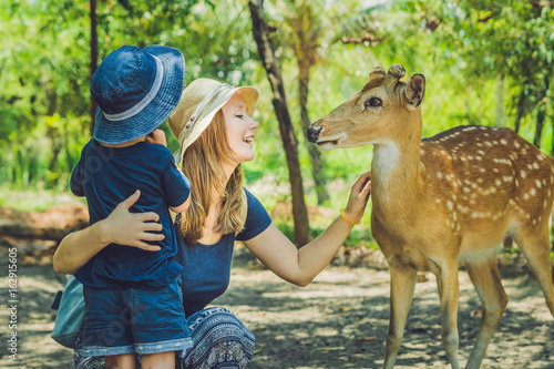 Mother and son feeding beautiful deer from hands in a tropical Zoo photo