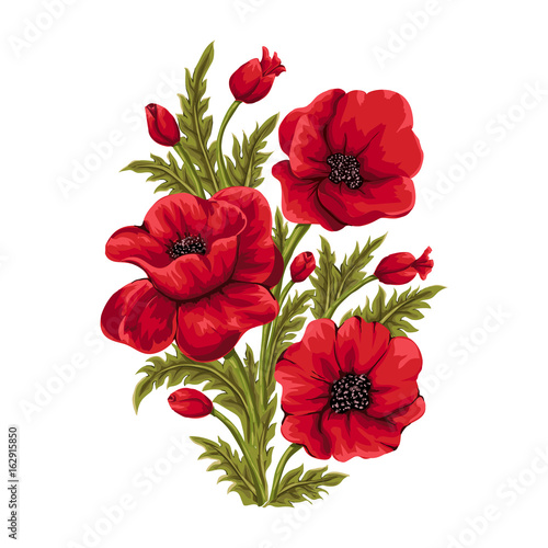 Vector bouquet of red poppies. Hand drawn illustration.Flower isolated on white background.