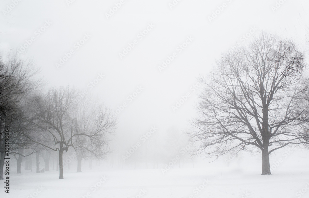 Winter in the black and white capture! Winter in the black and white capture!