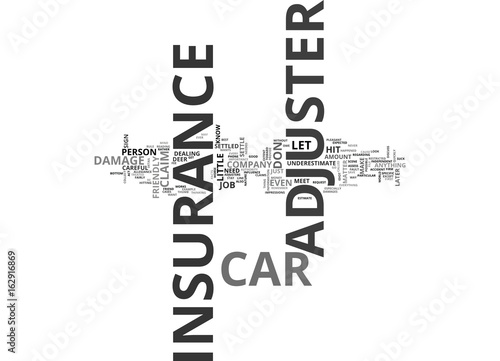 WHAT YOU NEED TO KNOW ABOUT A CAR INSURANCE ADJUSTER TEXT WORD CLOUD CONCEPT