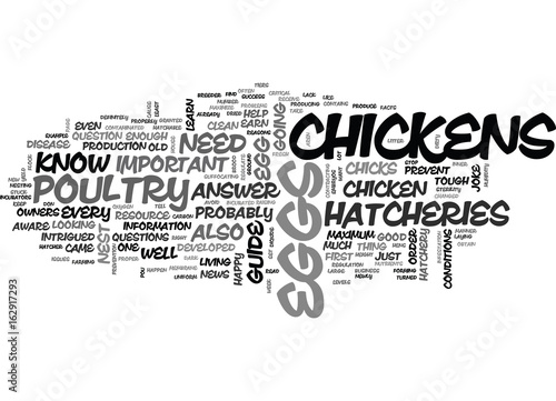 WHAT YOU NEED TO KNOW ABOUT POULTRY HATCHERIES TEXT WORD CLOUD CONCEPT