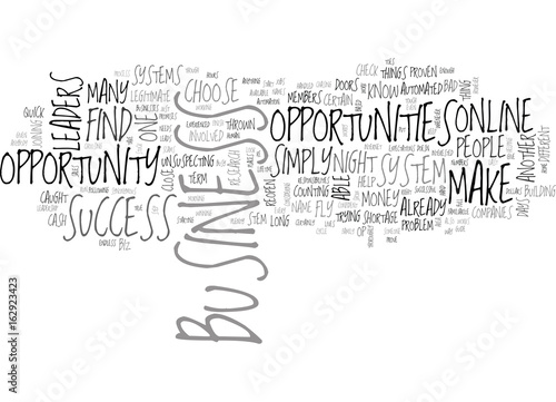 WHICH ONLINE BUSINESS OPPORTUNITY WILL YOU CHOOSE TEXT WORD CLOUD CONCEPT