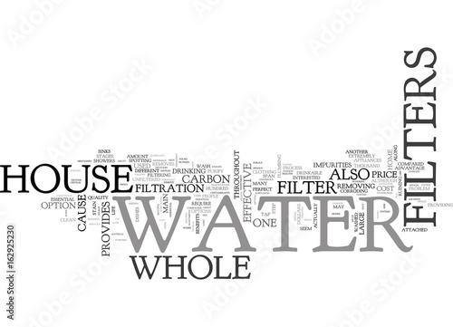 WHOLE HOUSE WATER FILTERS TEXT WORD CLOUD CONCEPT