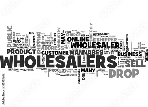 WHOLESALERS VS WANNABES AND DROP SHIPPERS TEXT WORD CLOUD CONCEPT photo