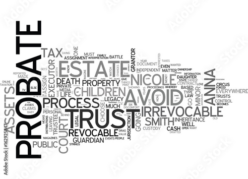 WHY A WILL IS NOT ENOUGH TO SAVE ANNA NICOLE SMITH S BABY DAUGHTER TEXT WORD CLOUD CONCEPT
