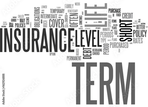 WHY BUY LEVEL TERM LIFE INSURANCE TEXT WORD CLOUD CONCEPT
