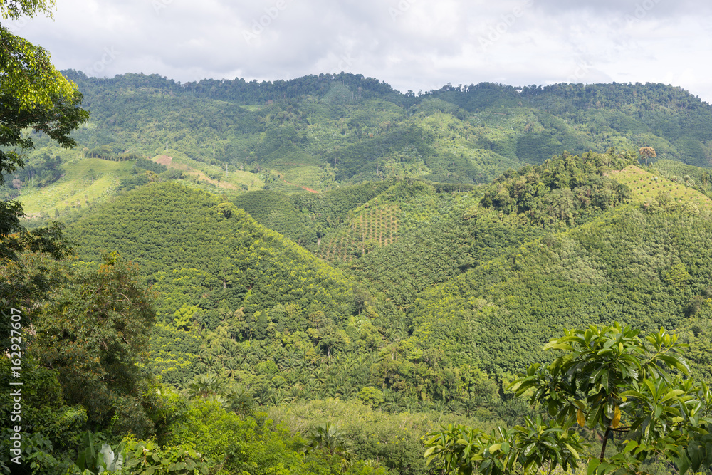 Obraz premium Nature of Thailand, view from the hill