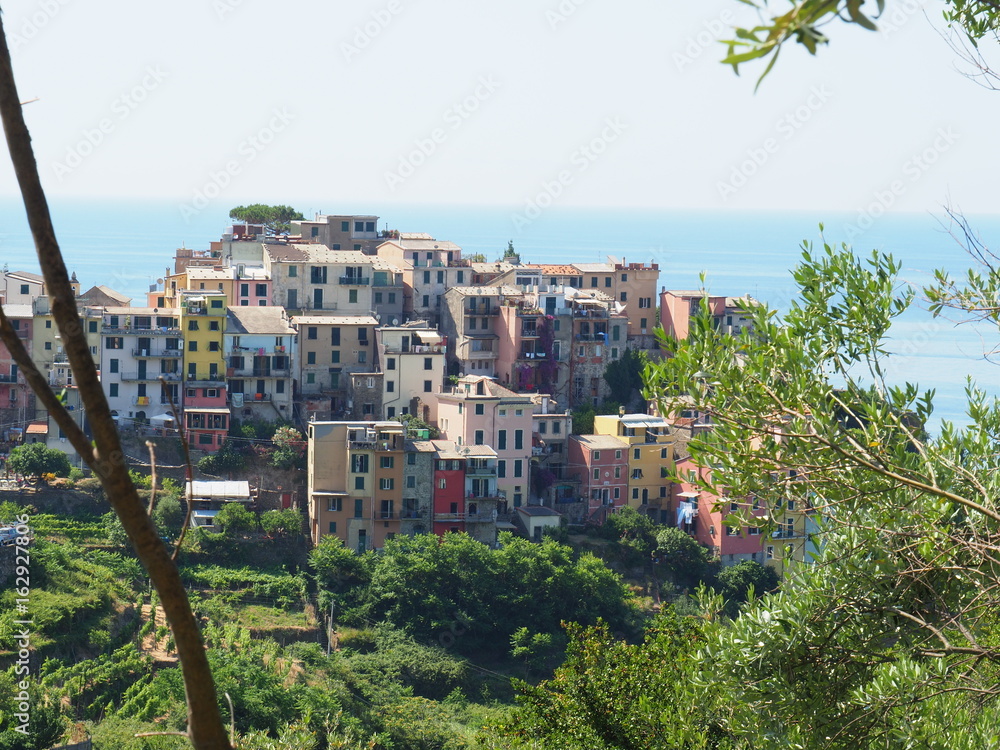 Fototapeta premium Corniglia - Cinque Terre (Italie)