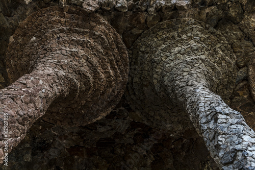 View from low angle on pillars at park Güell in Barcelona architecture details