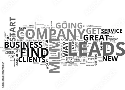 WHY CHOOSE MLM LEADS TEXT WORD CLOUD CONCEPT