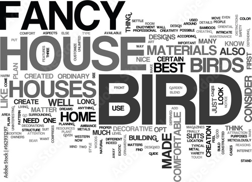 WHY SETTLE FOR ORDINARY WHEN YOU CAN HAVE A FANCY BIRD HOUSE TEXT WORD CLOUD CONCEPT