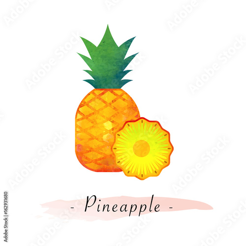 Colorful watercolor texture vector healthy fruit pineapple