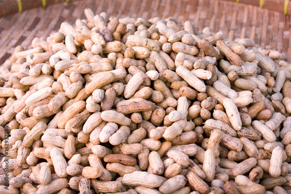 Pile of Peanuts Pile of Peanuts