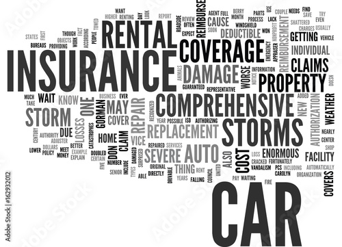 WILL YOUR AUTO INSURANCE WEATHER THE STORM TEXT WORD CLOUD CONCEPT