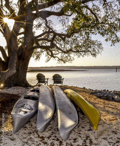 Hilton Head Landscape