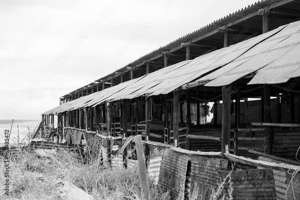 Obraz premium Wide angle view of old buildings and farm instruments on an old abandoned farm