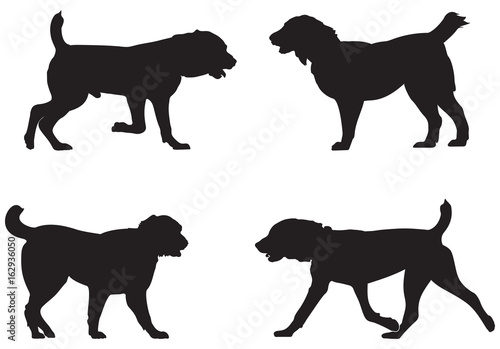Alabai, Central Asian Shepherd Dog Breed Silhouettes, Central Asian Ovcharka vector illustration from Dog Show silhouette series photo
