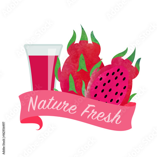 Colorful watercolor texture vector nature organic fresh fruit juice banner red dragon fruit pitaya