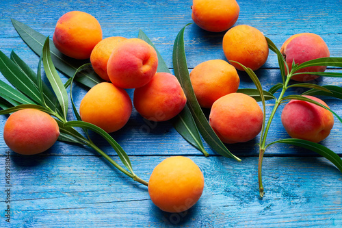 Wallpaper Mural Fresh apricots on blue background Torontodigital.ca