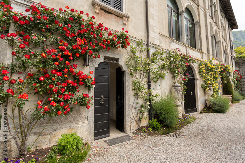 Fleurs le long de la façade