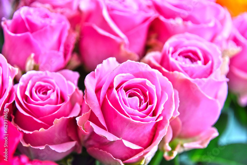 Roses in flower shop.