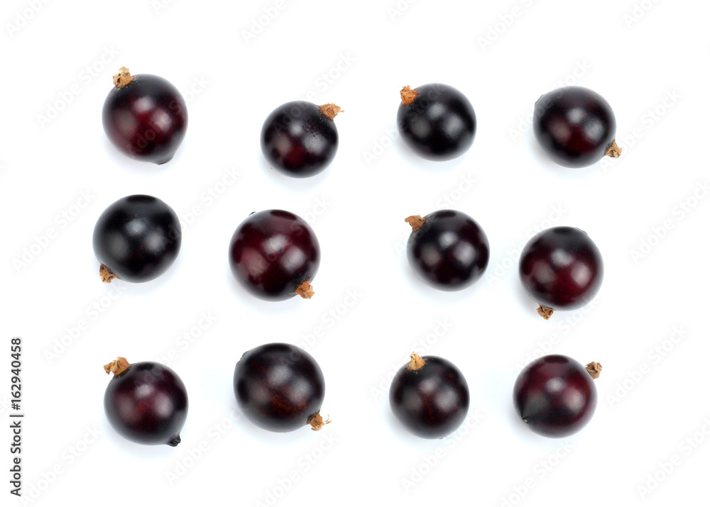 black currant isolated on white background black currant isolated on white background