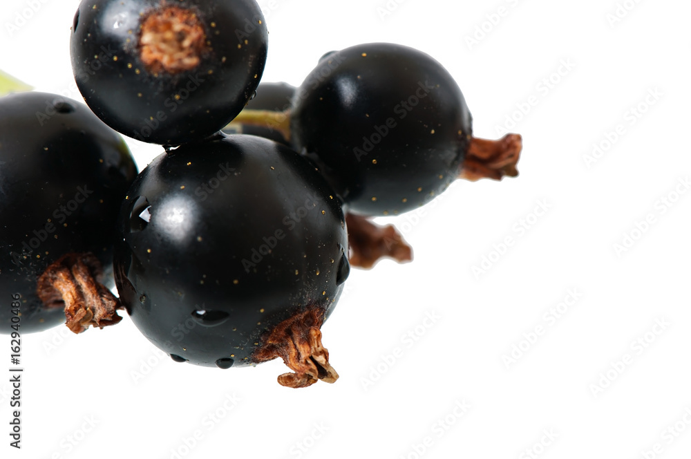 Black currant berries isolated on white background. Black currant berries isolated on white background.