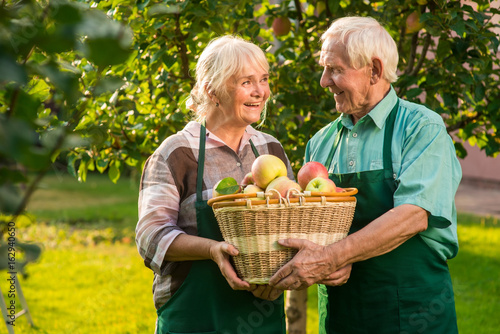 Old couple holding apple basket. People looking at each other. The fruit garden.