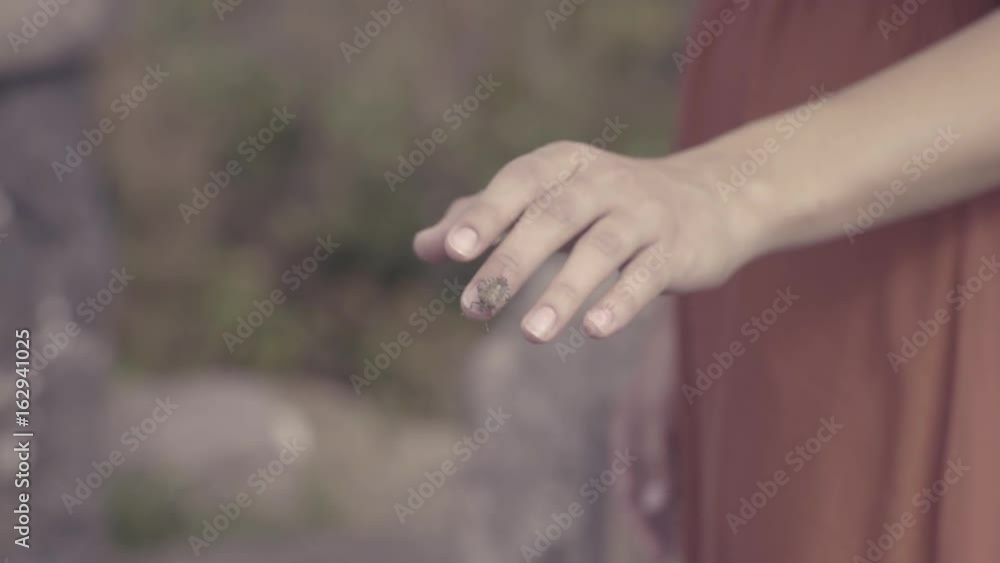 Young Woman Observes A Beetle As It Crawls On Her Hand, Then It Flies Away Young Woman Observes A Beetle As It Crawls On Her Hand, Then It Flies Away