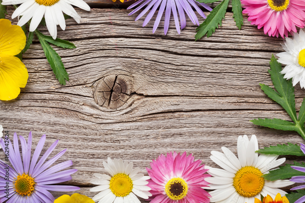 Obraz premium Garden flowers on wood