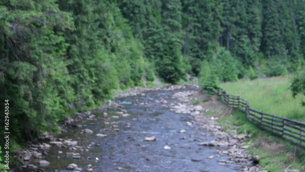 Carpathian forest and mountain river, Ukraine Carpathian forest and mountain river, Ukraine