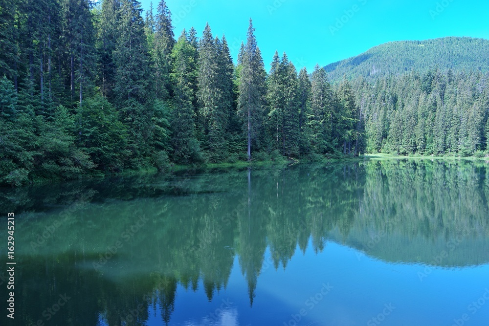 Reflection of the forest and  the sky on the surface of the lake, the Carpathians , Ukraine