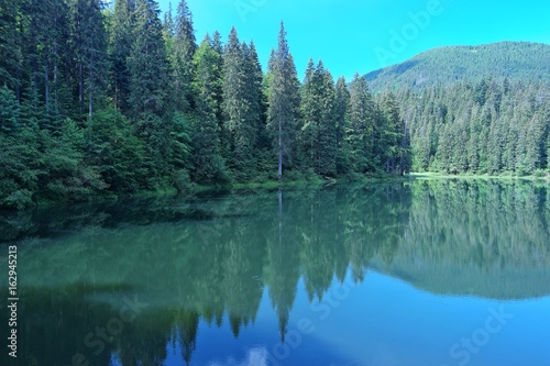 Reflection of the forest and the sky on the surface of the lake, the Carpathians , Ukraine