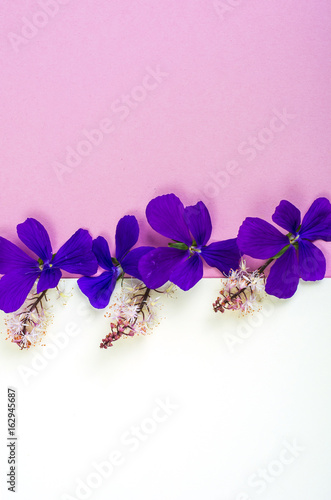 Creative layout made from flowers on background of colored paper