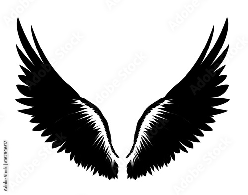 Wings. Vector illustration. Black and white style 
