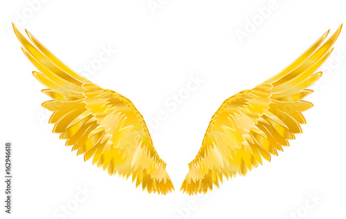 Wings. Vector illustration. Golden metal photo