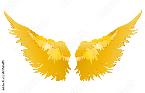 Wings. Vector illustration. Golden metal