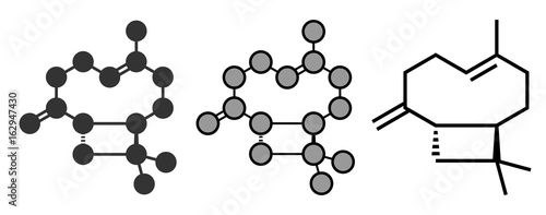 Caryophyllene molecule. Constituent of multiple herbal essential oils, including clove oil.