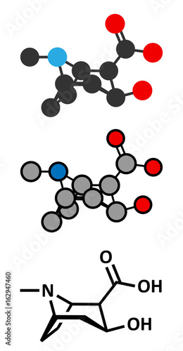 Ecgonine coca alkaloid molecule. Metabolite of cocaine.