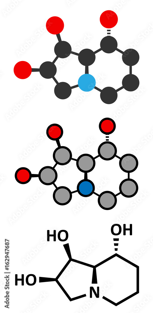 Swainsonine locoweed toxin molecule. Present in Astragalus, Oxytropis and Swainsona plant species. Swainsonine locoweed toxin molecule. Present in Astragalus, Oxytropis and Swainsona plant species.