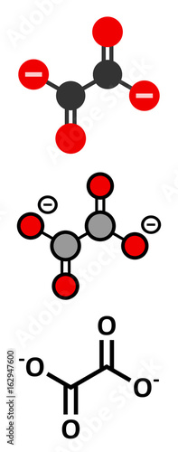 Oxalate anion, chemical structure. Oxalate salts can form kidney stones.