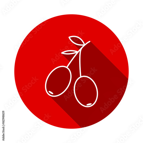 Olives icon vector