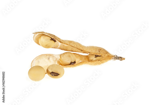 Soybean pods and seeds on a white background
